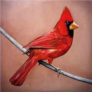 Alexisonfire - Old Crows / Young Cardinals download free