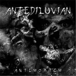 Antediluvian  - Antemortem download free