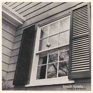 Beach Fossils - What A Pleasure download free