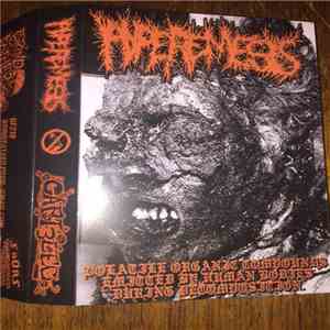 Captain Three Leg / Hyperemesis - Brain Worms / Volatile Organic Compounds Emitted By Human Bodies During Decomposition download free