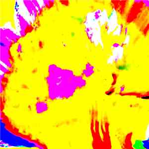Daniel Steffey - A Collection of Censored Experiments: Volume II download free