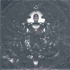 Estuary - The Craft Of Contradiction download free