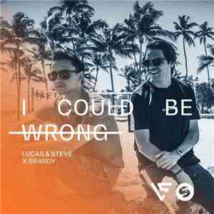 Lucas & Steve X Brandy  - I Could Be Wrong download free