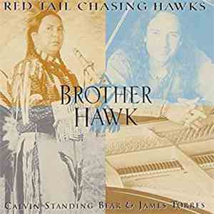 Red Tail Chasing Hawks - Brother Hawk download free