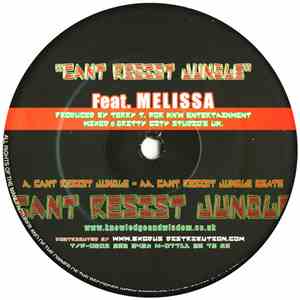Terry Tee - Can't Resist Jungle download free