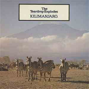 The Teardrop Explodes - Kilimanjaro download free