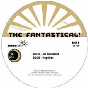 The Vanishing System - The Fantastical/Step-Gruv download free