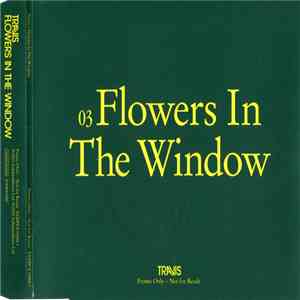 Travis - Flowers In The Window download free