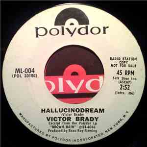 Victor Brady - Brown Rain / Hallucinodream download free